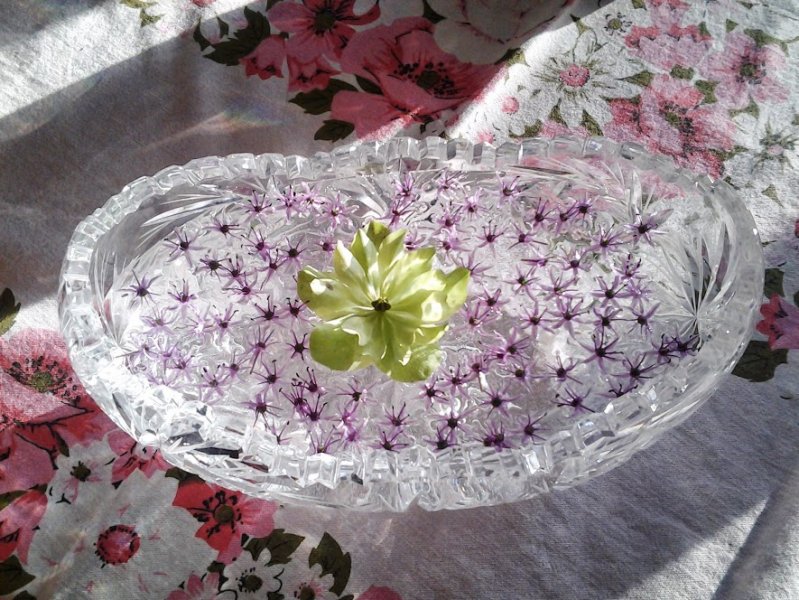 floating flowers8.jpg