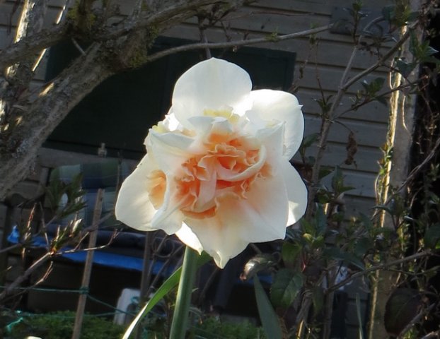 frit04a.jpg