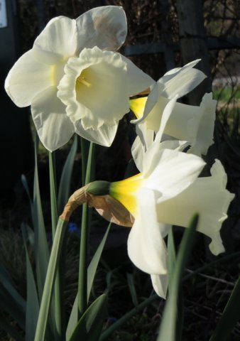 frit08.jpg