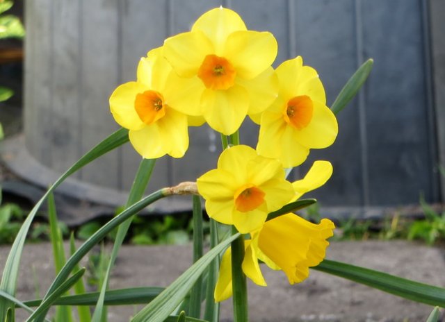 frit09.jpg
