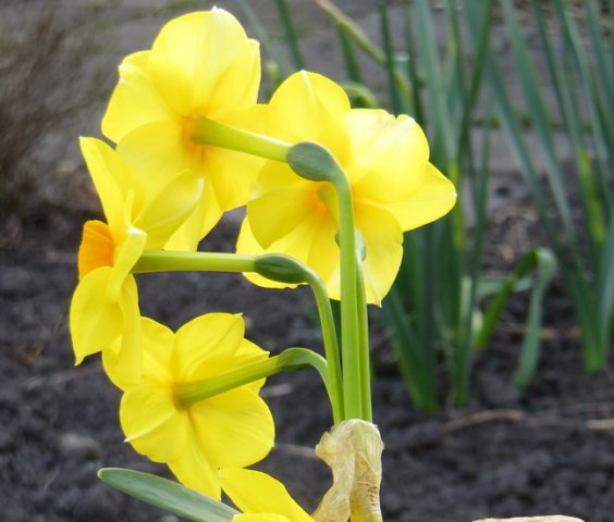 frit10a.jpg