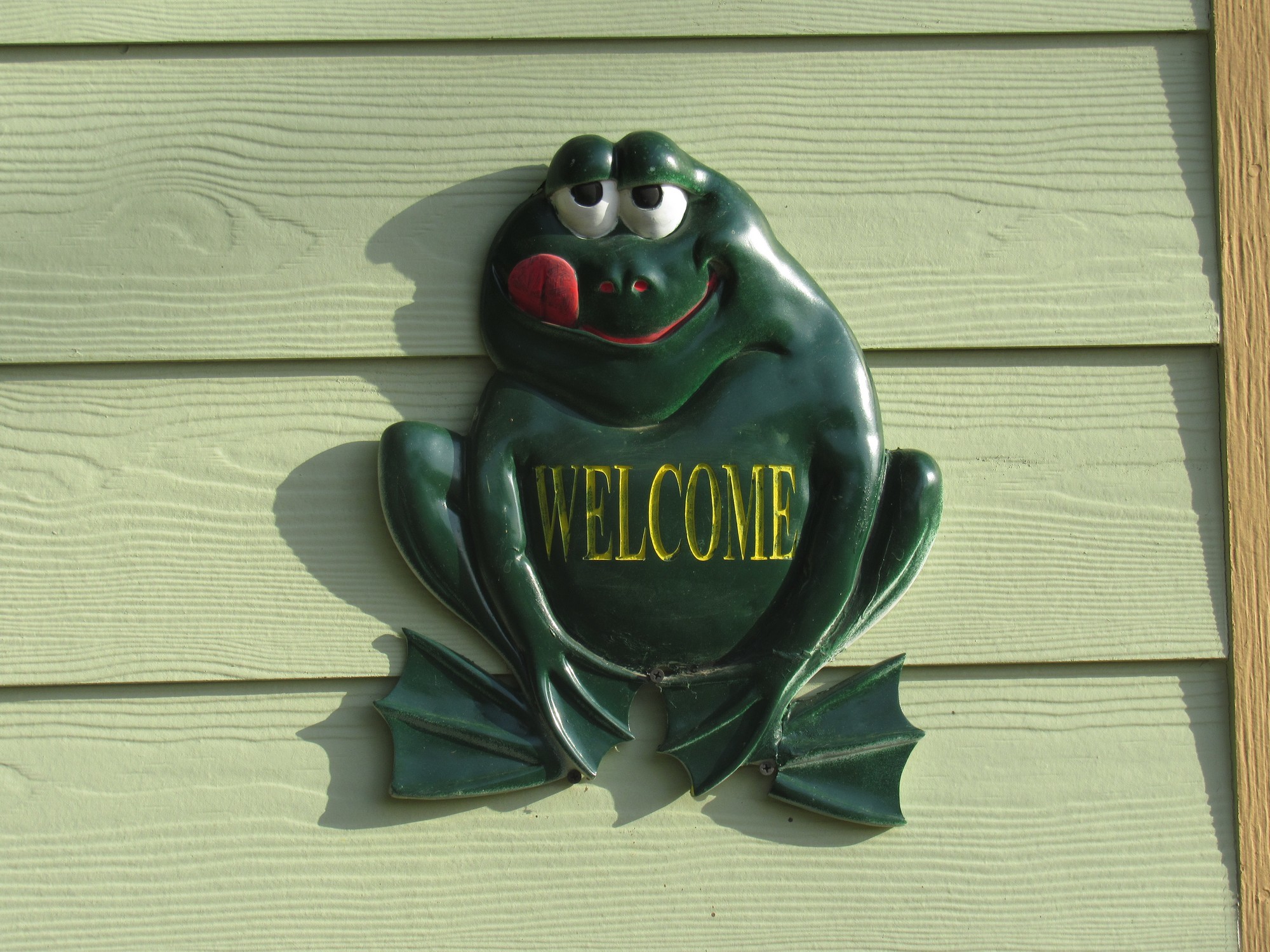 Froggie greeter.jpg