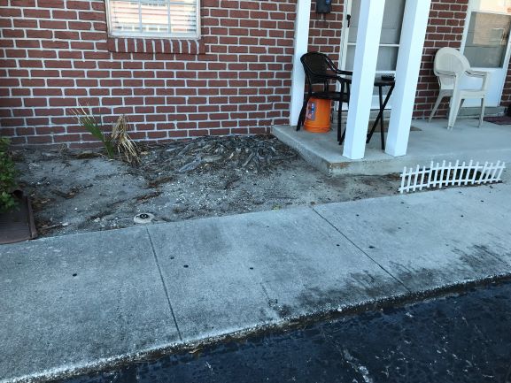 Front Yard1.jpg