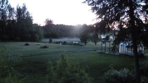 frost fog rolling in.JPG