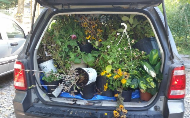 full car again.jpg