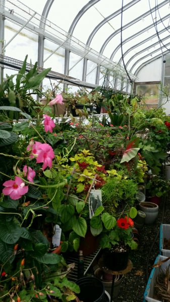 full greenhouse 2015.jpg