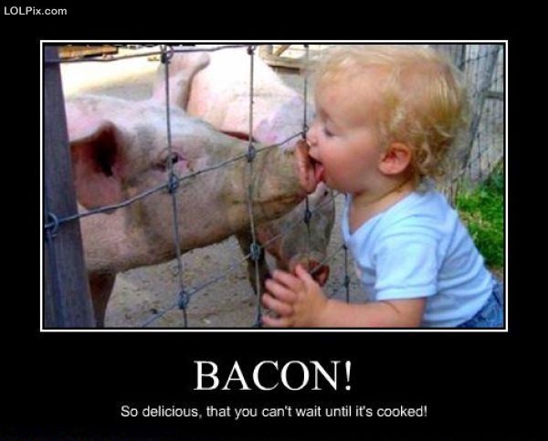 funny-bacon-jokes.jpg
