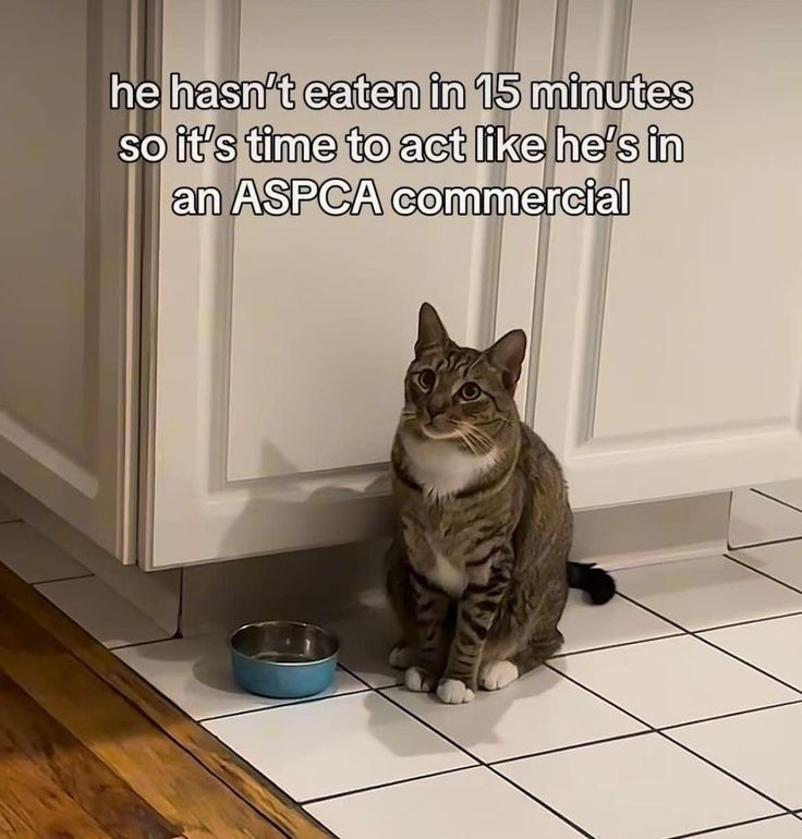 Fyce5an.jpg