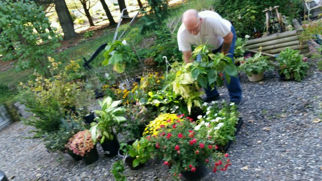 garden center1.jpg