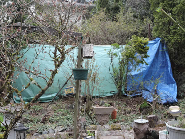 garden fence.jpg