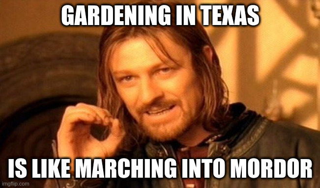 Gardening in Texas is like marching into Mordor.jpg