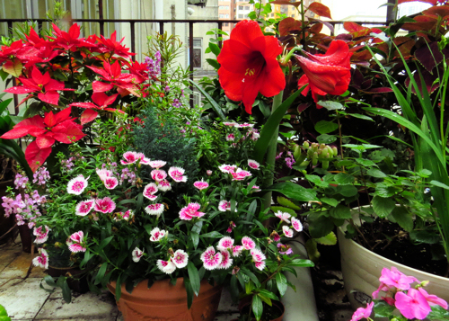gardenoverview500x357.jpg