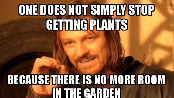 getting plants.jpg