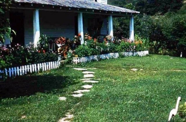 grandma Bernice's flowers.jpg