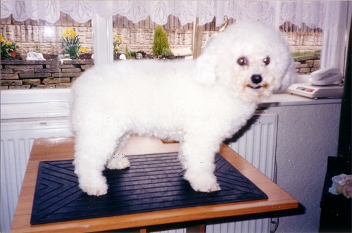 groomingtime.jpg