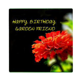 happy_birthday_garden_friend_photo_plaque-r74ec8ce81e084cd7bde02a8f98645de0_ar56t_8byvr_324.jpg