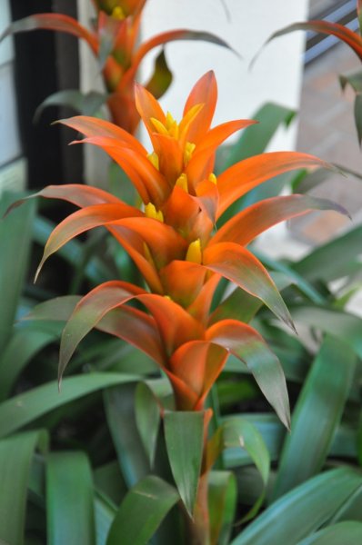 Hawaii 2011 292.JPG