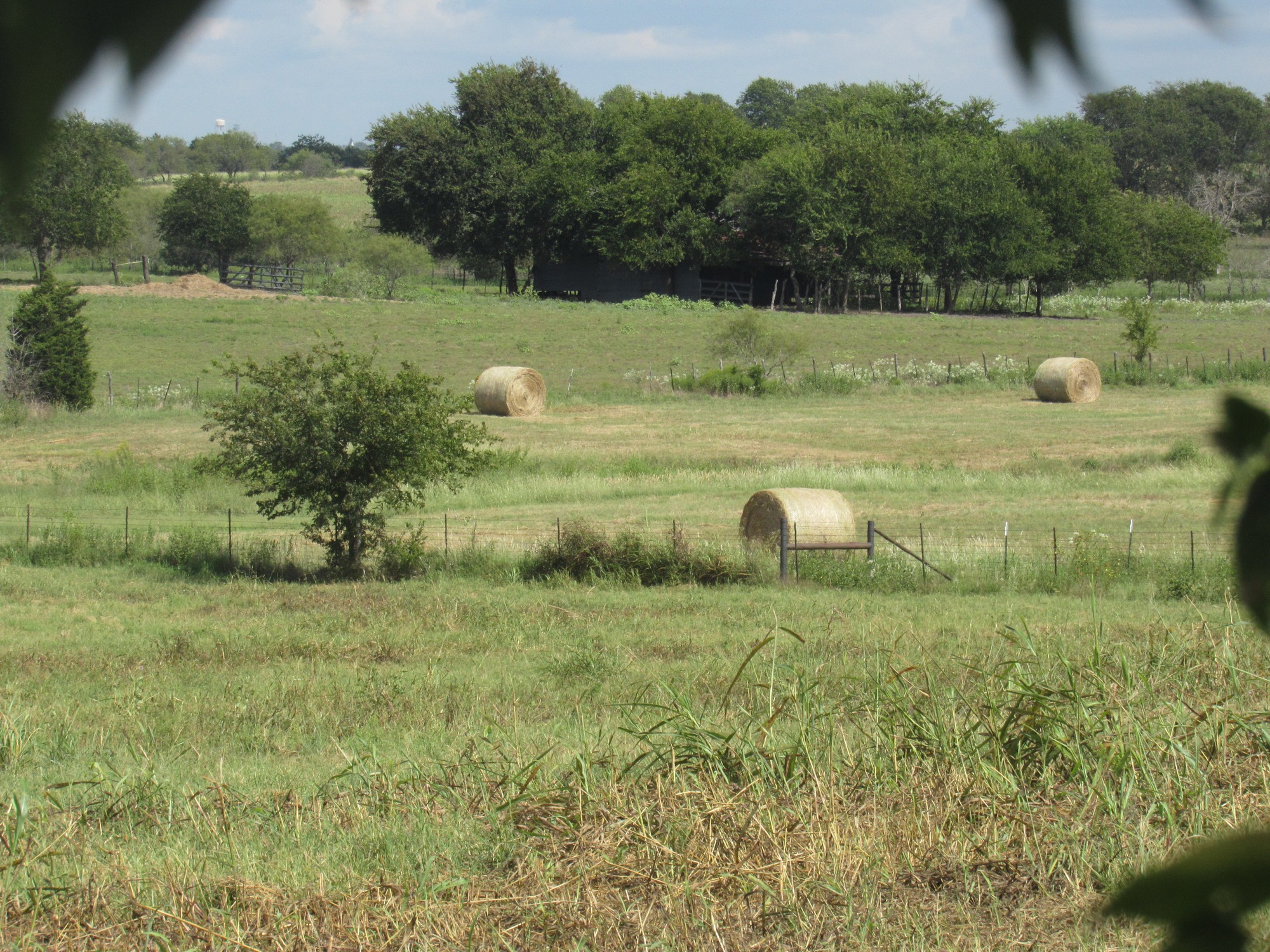 Hayfield view.jpg