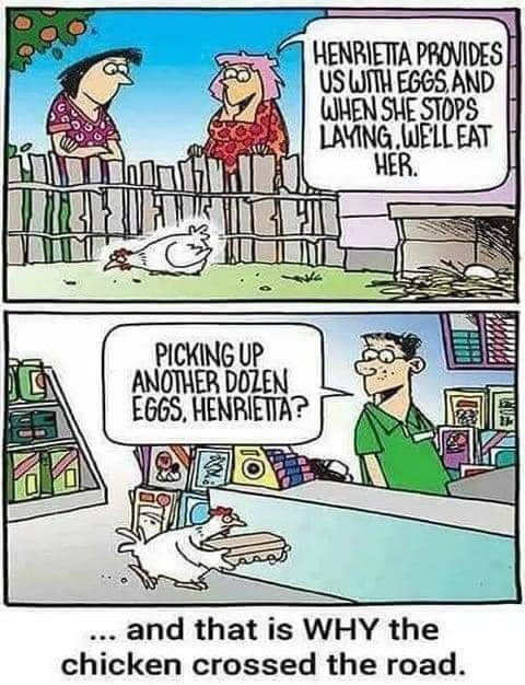 hen joke.jpg