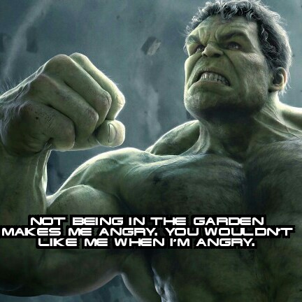 Hulk2.jpg