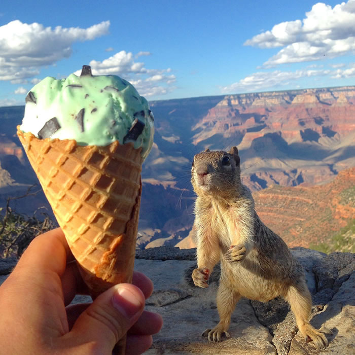 ice-cream.jpg
