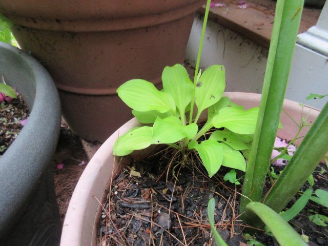 Image00012.jpg
