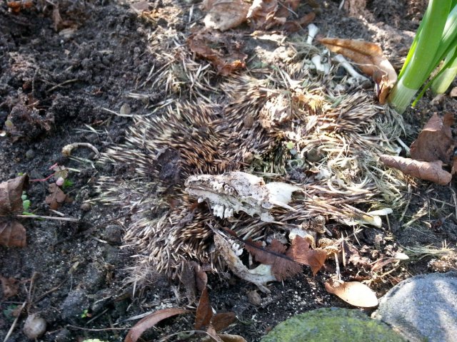 IMG-20150317-WA0012.jpg