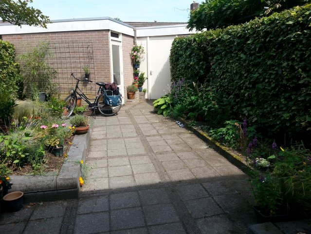 IMG-20150802-WA0002.jpg