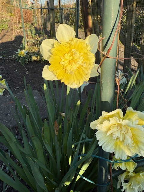 IMG_0043.jpeg