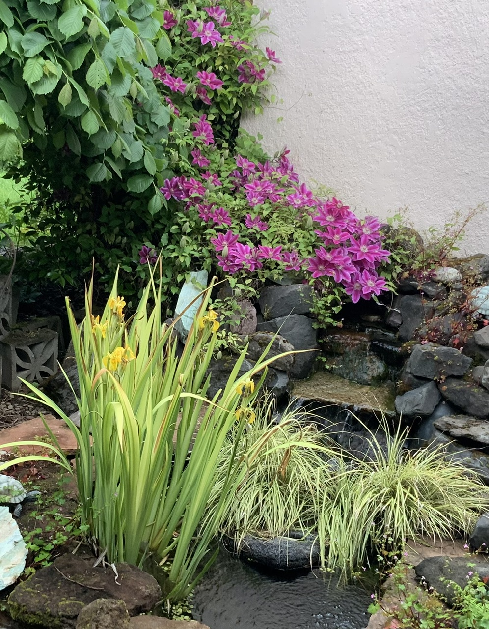 IMG_0137.jpeg
