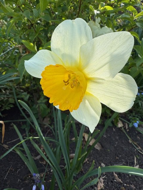 IMG_0197.jpeg