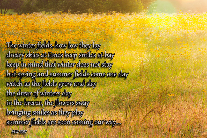 IMG_0419Poem2017.jpg