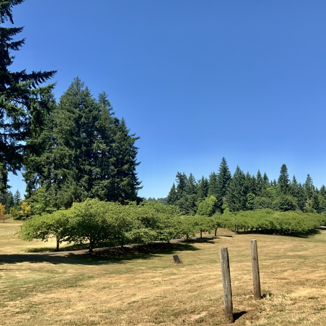 IMG_0697.jpeg