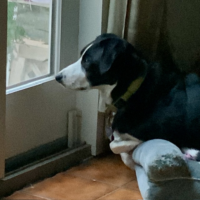 IMG_0813.jpeg