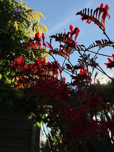 IMG_0862.jpeg