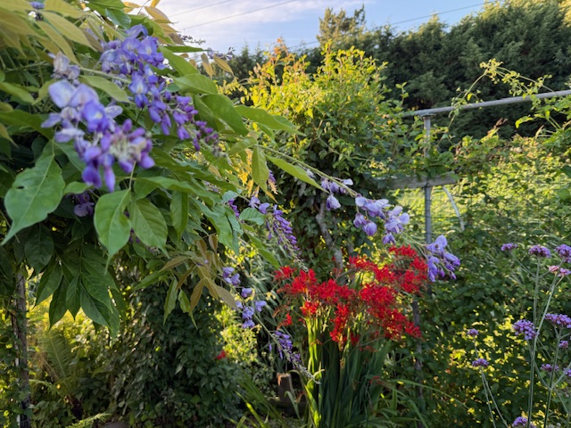 IMG_0868.jpeg