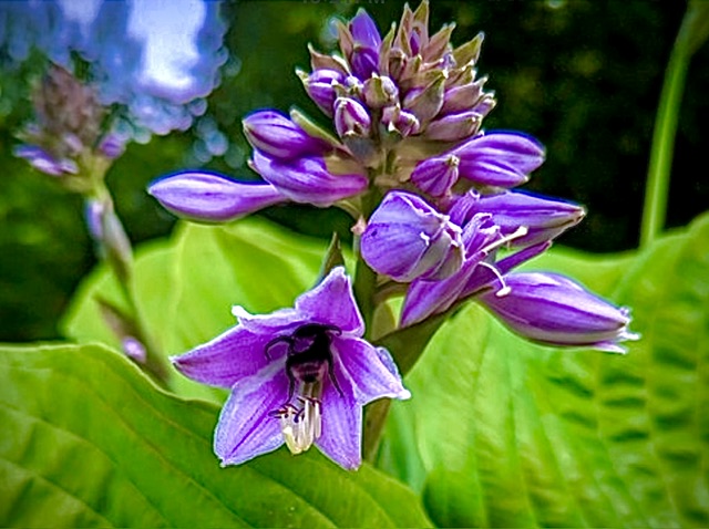 IMG_0881.jpeg