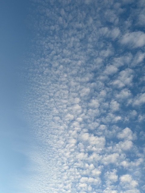 IMG_0907.jpeg