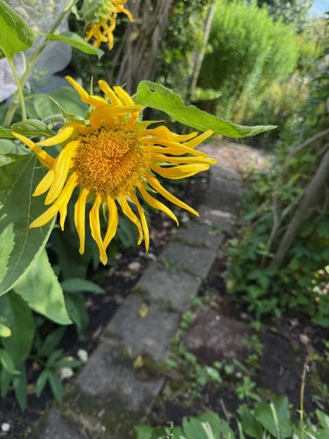IMG_1104.jpeg