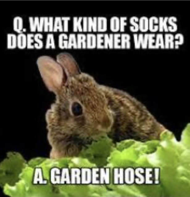 IMG_1208.jpeg