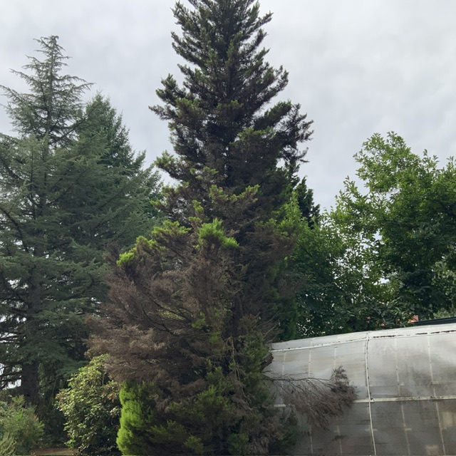 IMG_1463.jpeg