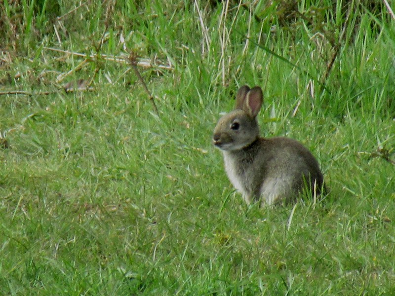 IMG_1587.JPG