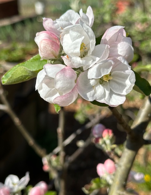 IMG_1590.jpeg