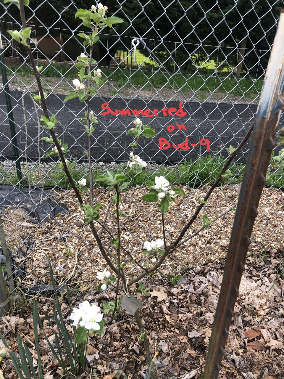 IMG_1726.jpeg