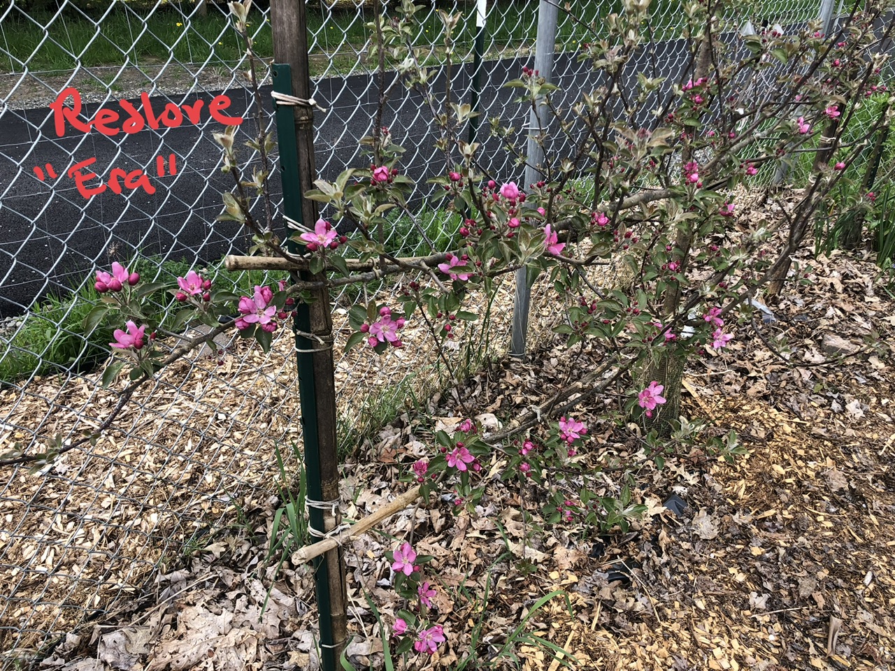 IMG_1727.jpeg