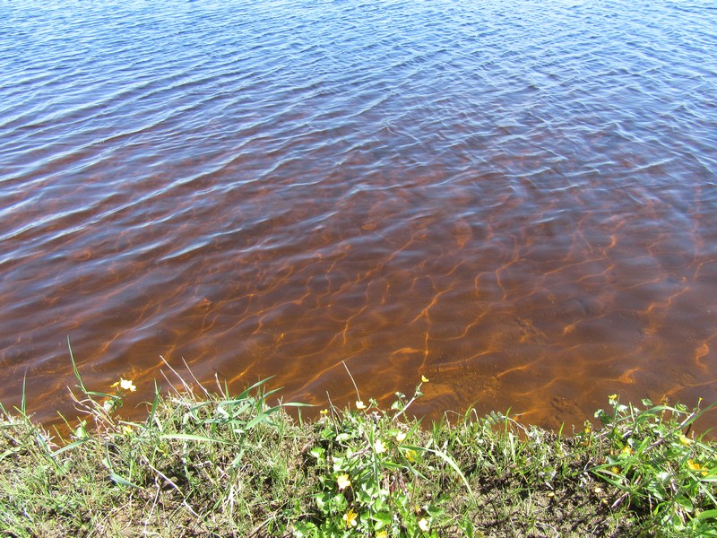 IMG_1879.jpg