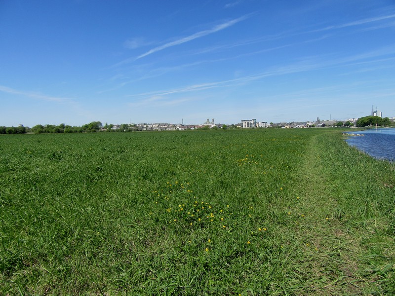 IMG_1881.jpg