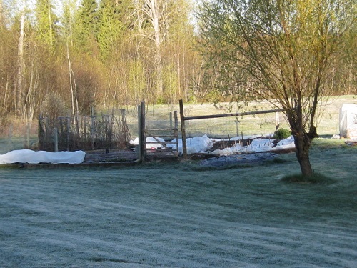 IMG_1887 - Copy.JPG