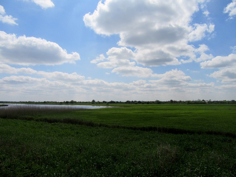 IMG_1972.jpg