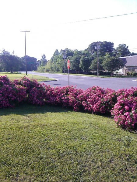 IMG_20140518_181322_882.jpg